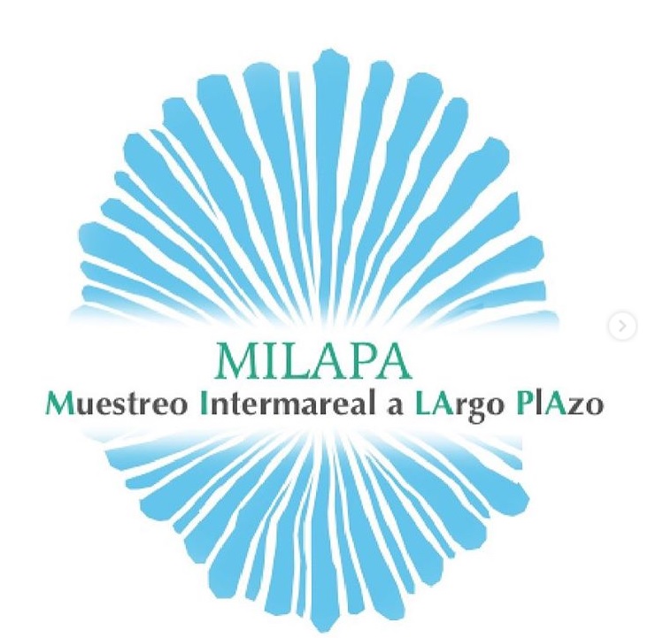 Logo_provisional